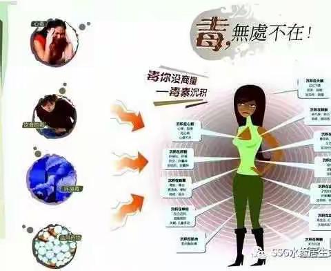 人为什么要排毒？？？
