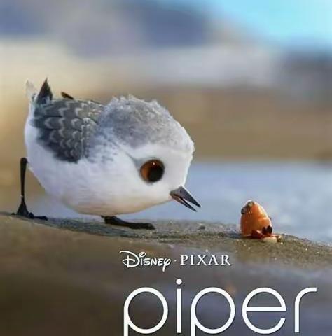 推荐电影欣赏4   《piper》