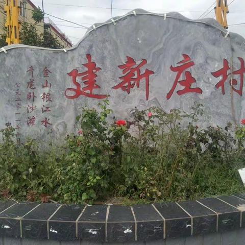 天鸿物业西红门项目，                      建新庄村