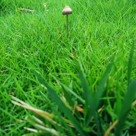 A Wonderful day For New York 7.13