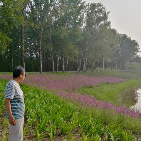 京郊大地游