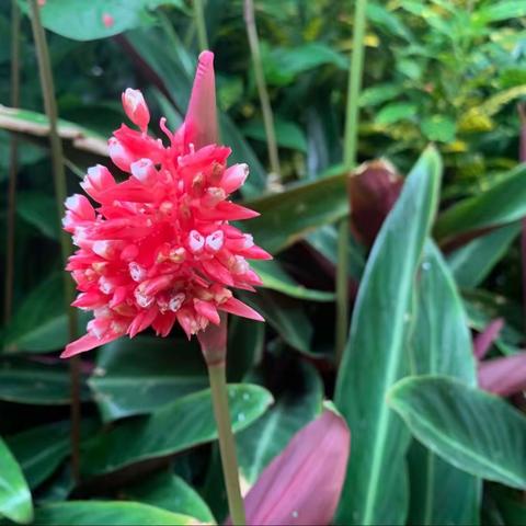 深圳湾皇岗公园2023年4月27日随机检整改汇报