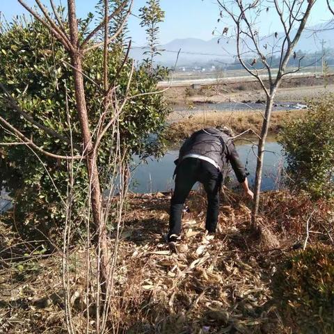 我的家园我守护