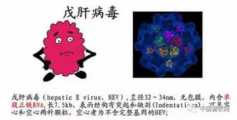 感控知识双周学习卡