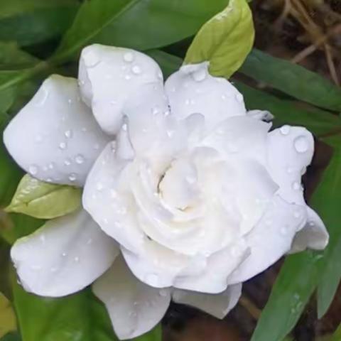 我的瑞鑫佳园物业服务工作初始路