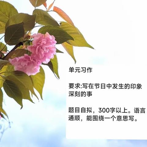 春禾优秀习作（三）（传统节日）