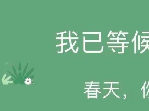 绘出色彩，绘出快乐——中铁四公司幼儿园苹果🍎三班创意美术活动