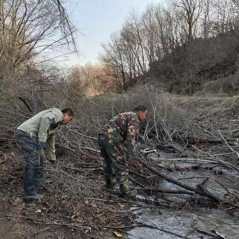 全力打造“安全、清澈、美丽”河道