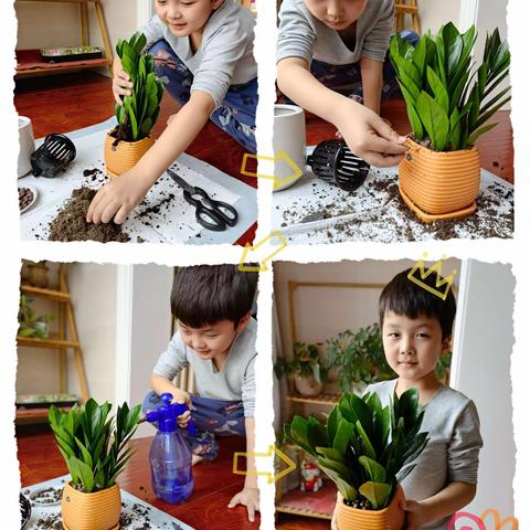 龙泉街道中心小学一年级10班植树节活动