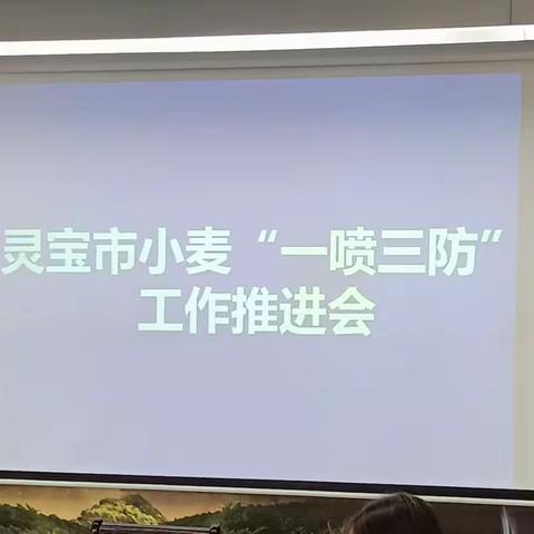 农业农村局召开灵宝市小麦“一喷三防”工作会议