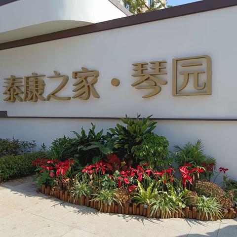 参观养老院