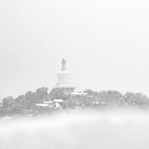 虎年瑞雪  印象北海