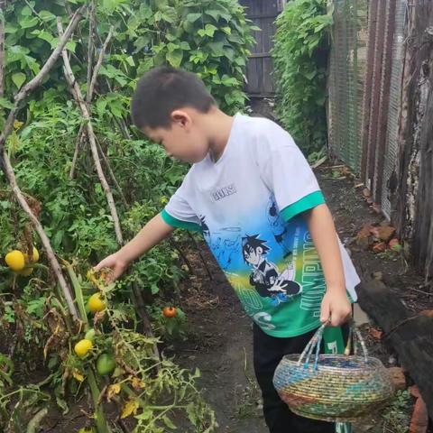 缤纷夏日 “暑”我最棒——第二小学一年一班暑假实践