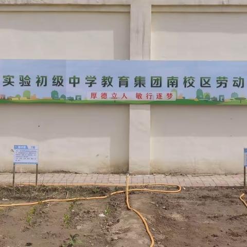 劳动教育促成长 基地建设种希望——无极县实验初级中学教育集团南校区劳动基地实践活动