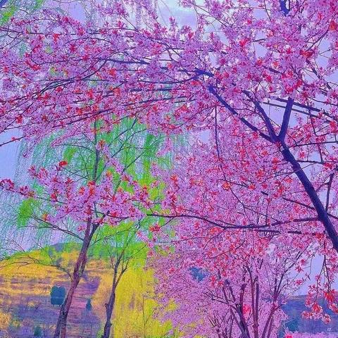 疾病无情 人间有爱——灵口镇中心幼儿园开展爱心募捐活动