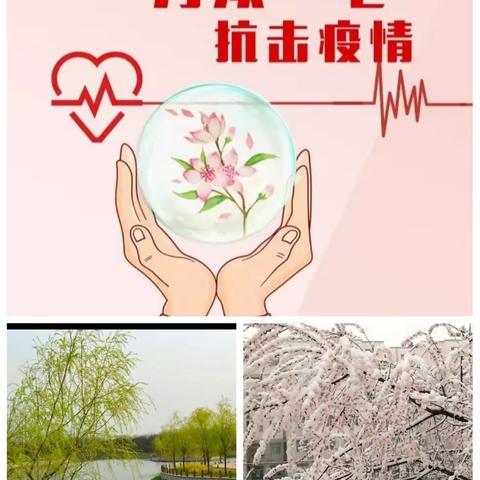 停课不停学，三(3)班全体师生在行动