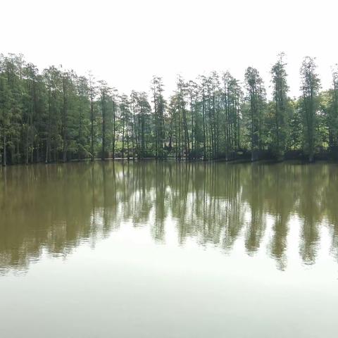 风雨之后春之爽_有感遗爱湖