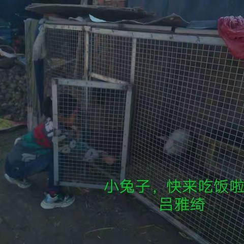 宅家劳动美！    宅家劳动美！！