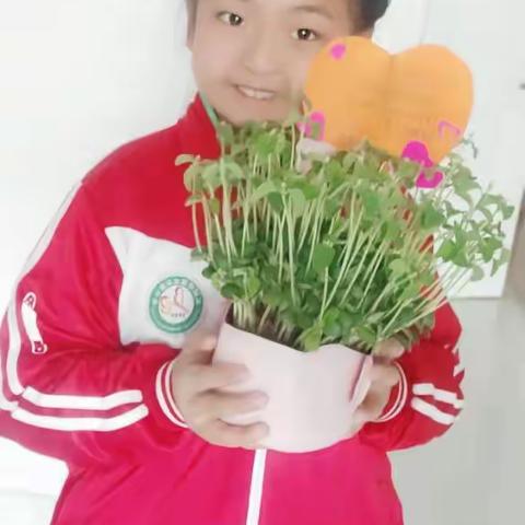 北马路小学一年级五班张可欣巜父亲》