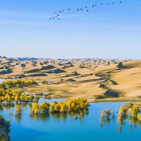 【趣味百科：沙漠为什么有绿洲？】