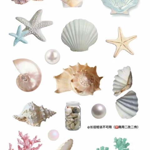 【贝壳与珍珠】