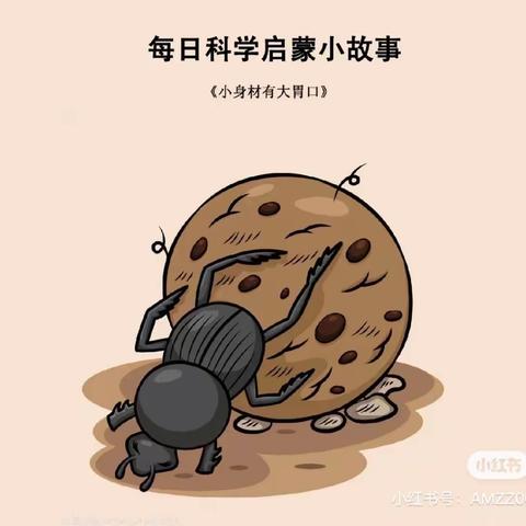 【趣味百科：昆虫界的清洁工】