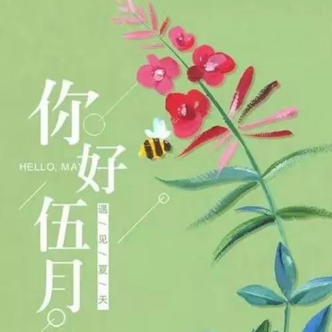 五月🌼尽情绽放🍃