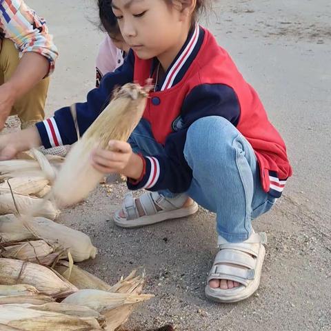 劳动美，丰收乐！二年级八班任芊玥农活劳动实践