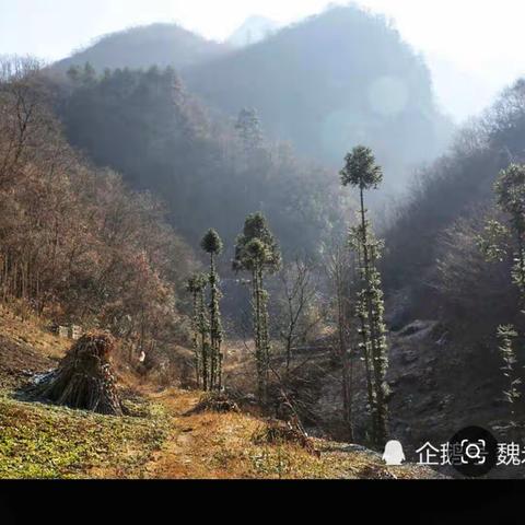 看《山海情》忆扶贫往事（上）