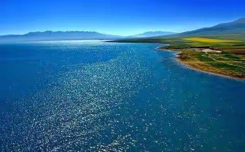 青海湖之旅（三）