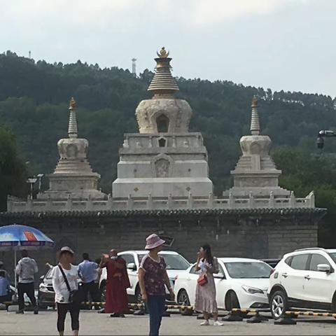 青海湖之旅（四）