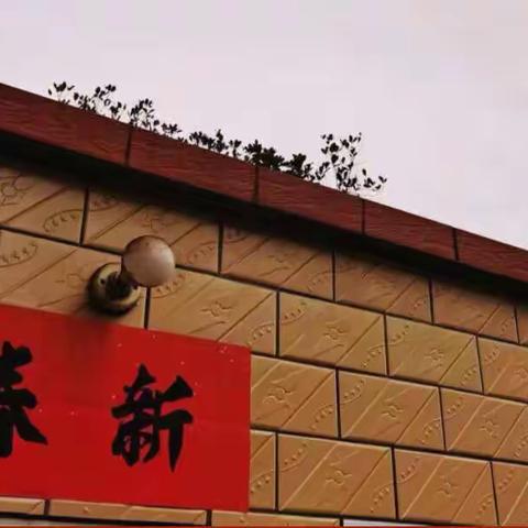 虎气腾腾迎新年 生机勃勃庆新春  —— 留营中心小学 “我们的节日” 系列活动