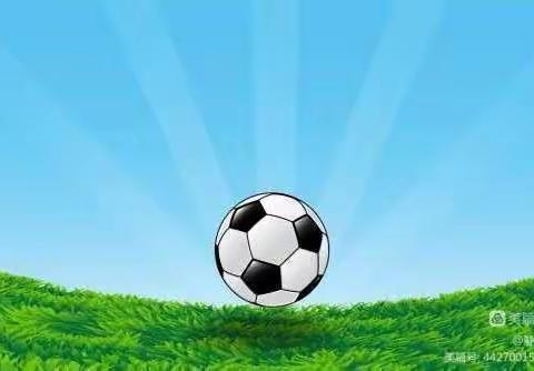 足球点燃激情⚽绿茵绽放梦想——记二年级八班足球赛精彩瞬间