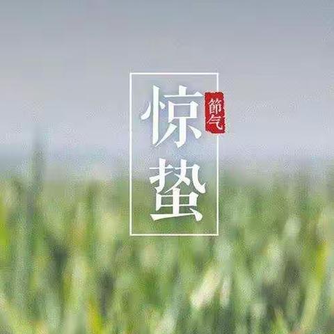 二十四节气——惊蛰