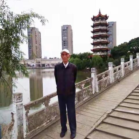 老羊的美篇