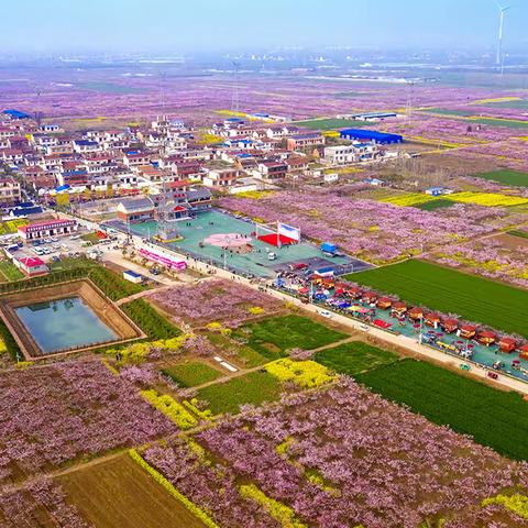 又是三月桃花开