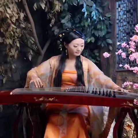 黄丽梅乐器演奏视频照片选《一》