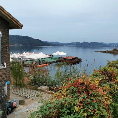 千岛湖钓鱼岛风景