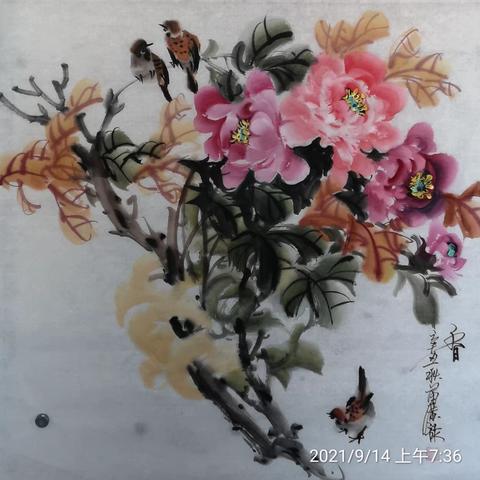 银发师资班的第一学期