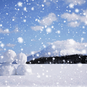 小雪至   冬始俏