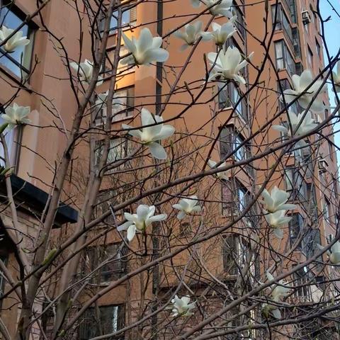 二十四节气养生—谷雨