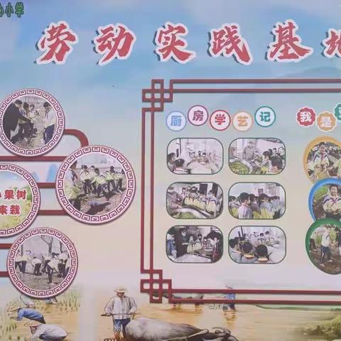 喜撷硕果   香满校园——青原镇中心小学校园实践基地活动纪实