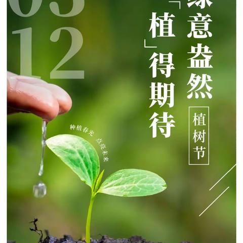 春意盎然，“植”得期待——魏庄小学3.12植树节活动