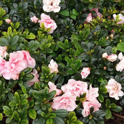 《忆你我的县城童年》