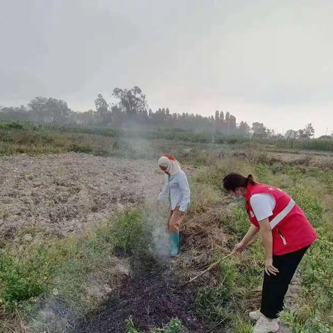 村民燃烧秸秆  网格员现场制止并宣传