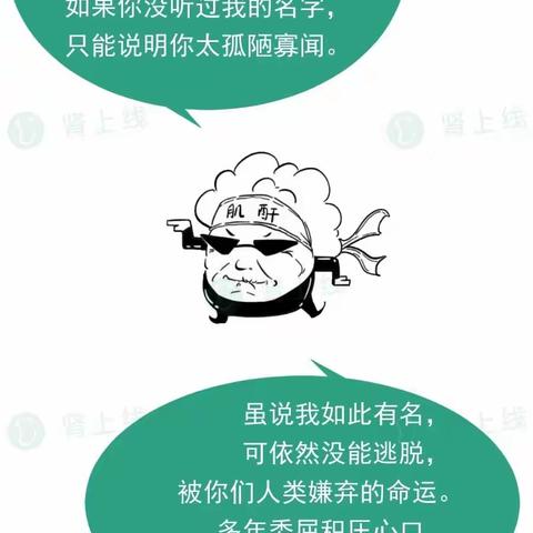 学习笔记‖被嫌弃的肌酐的一生