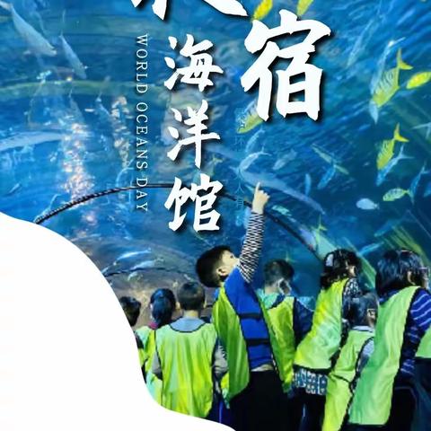 【鱼你共眠—夜宿海洋馆】今年最酷的“海底”露营