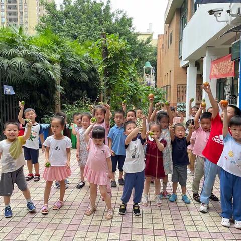 ✨融侨风临洲幼儿园—casa3班第十九周精彩分享✨