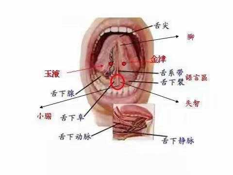 一篇文章告诉你什么是杨氏微排栓