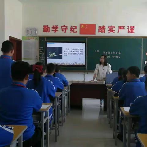 教学比武展风采——大杖子学区蘑菇峪中心小学“语文习作单元”课堂评优活动